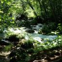 【9/25】バスツアー自然森林教室「秋の奥入瀬渓流を訪ねて」