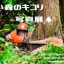 【2/4～3/12】青い森のキコリ写真展
