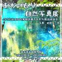  【4/22～6/18】あおいもり自然写真展