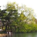 【4/30】野木和公園の植物観察会