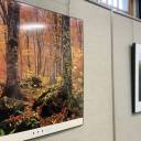【10/14～10/29】「世界遺産の森と木フォトコンテスト写真展」